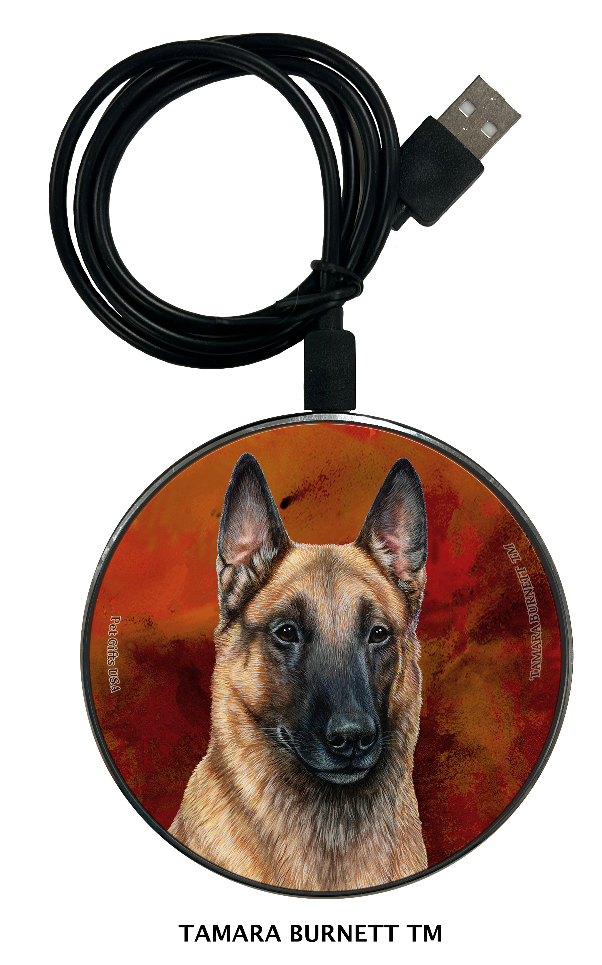 Zoomies Chargers sample image